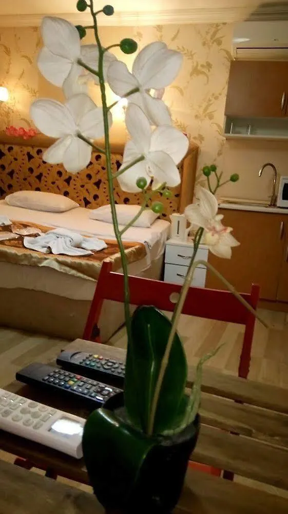 ** Hotel económico Hotel Mini House Estambul Turquía