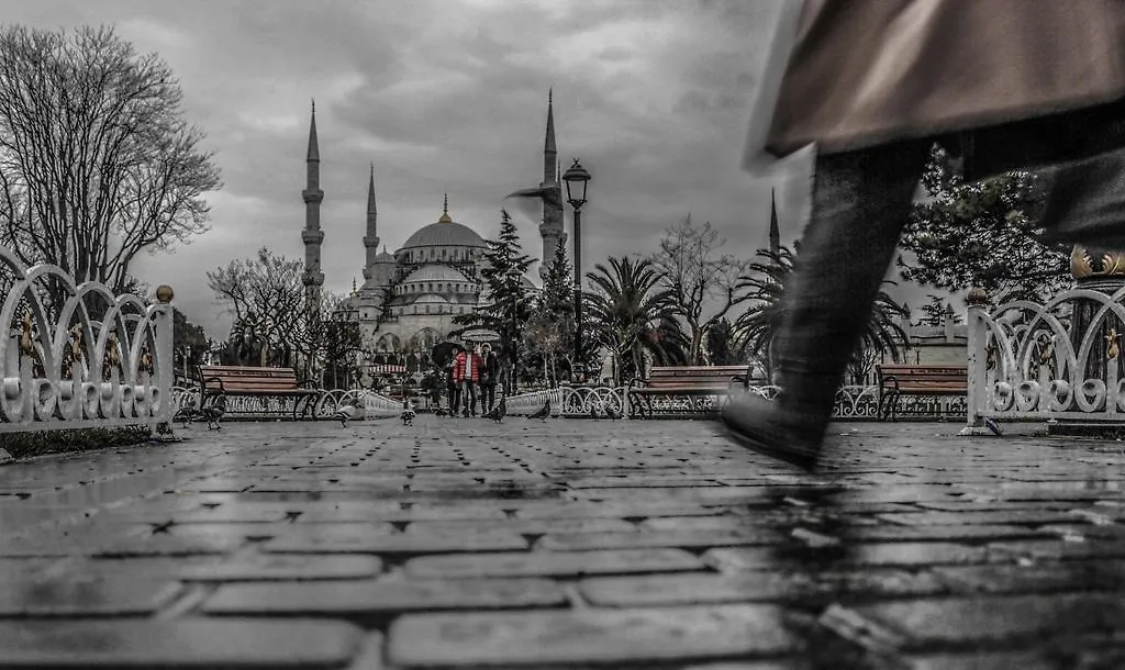 Mini House Hotel Istanbul Economy hotel
