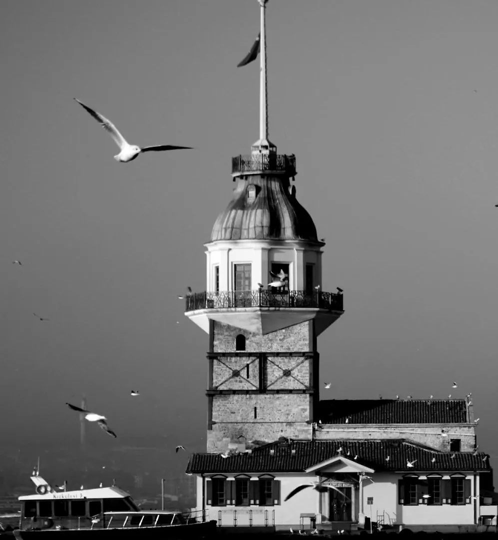 Mini House Hotel Istanbul Economy hotel