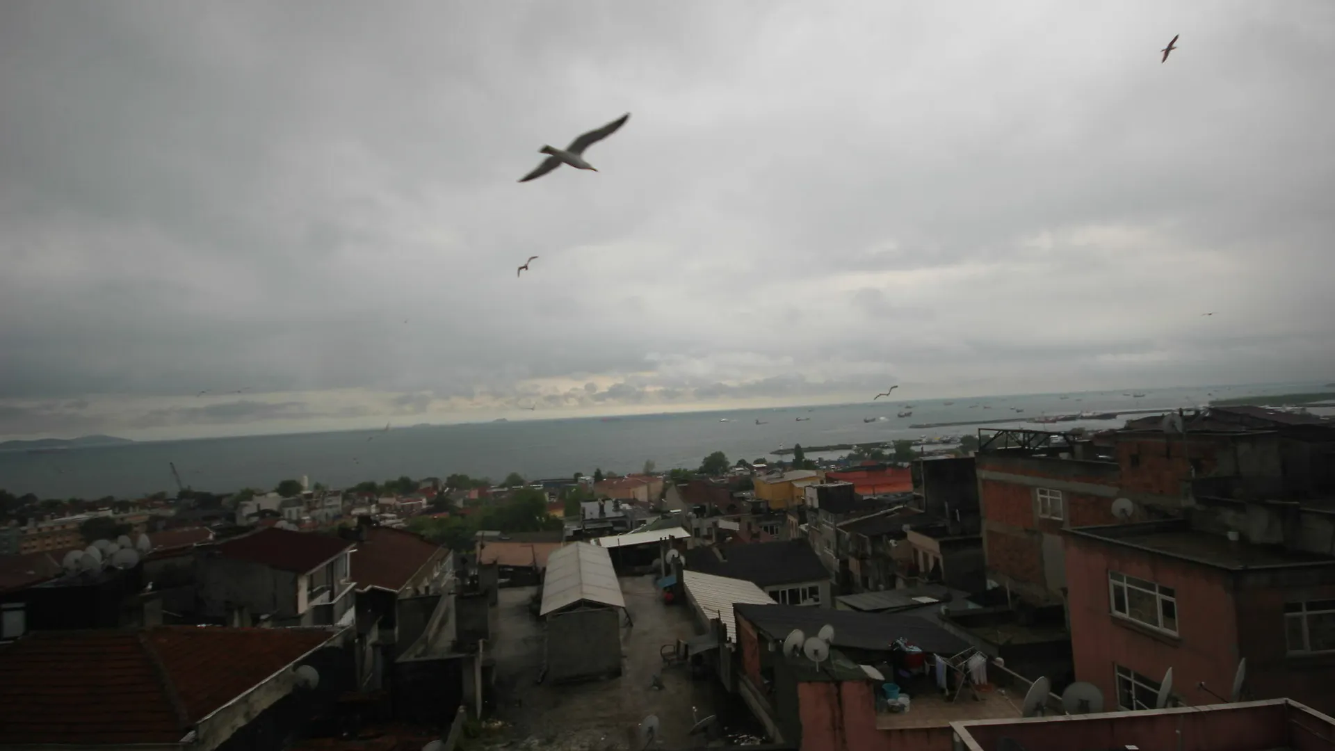 Economy hotel Mini House Hotel Istanbul